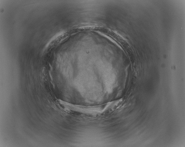 X0000071801351200607211637