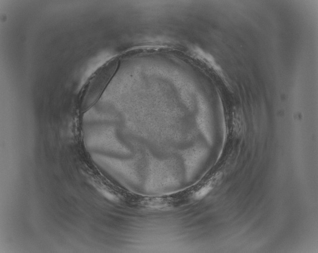 X0000071801352200607211637