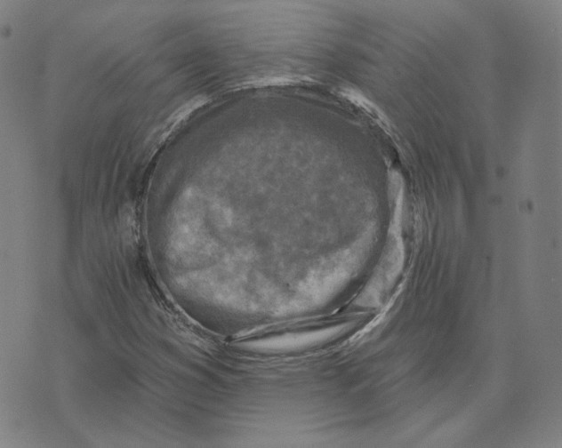 X0000071801353200607211636