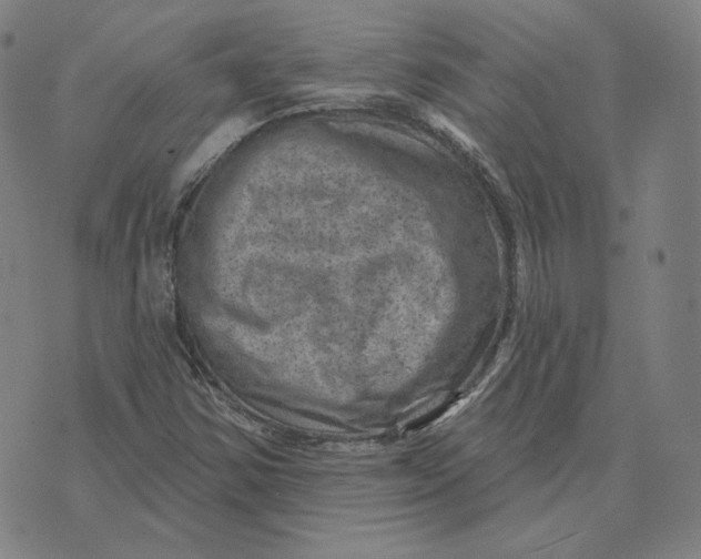 X0000071801354200607211636