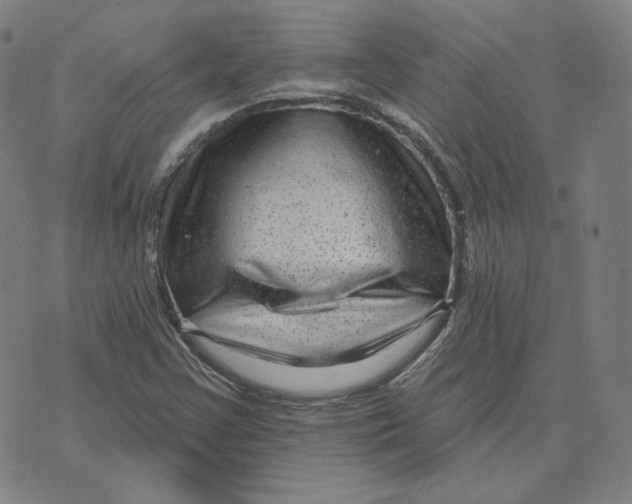 X0000071801355200607211636