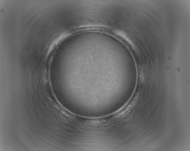 X0000071801357200607211636