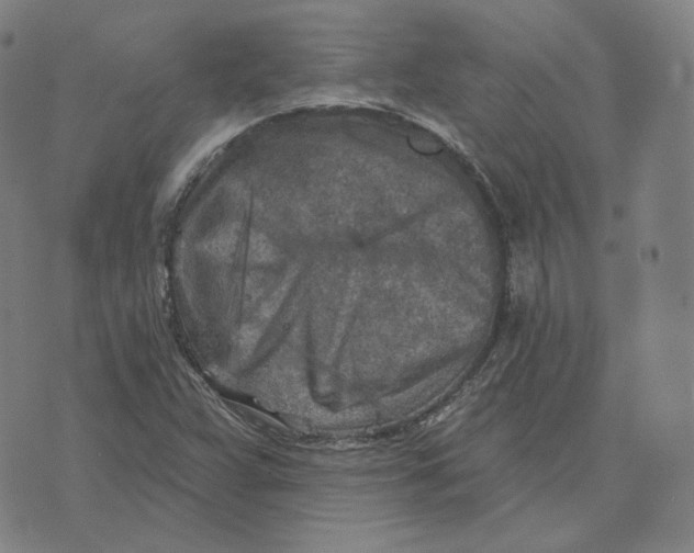 X0000071801359200607211636