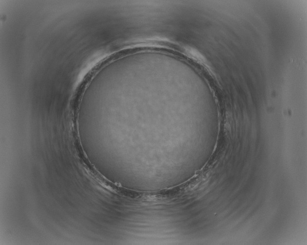 X0000071801360200607211636