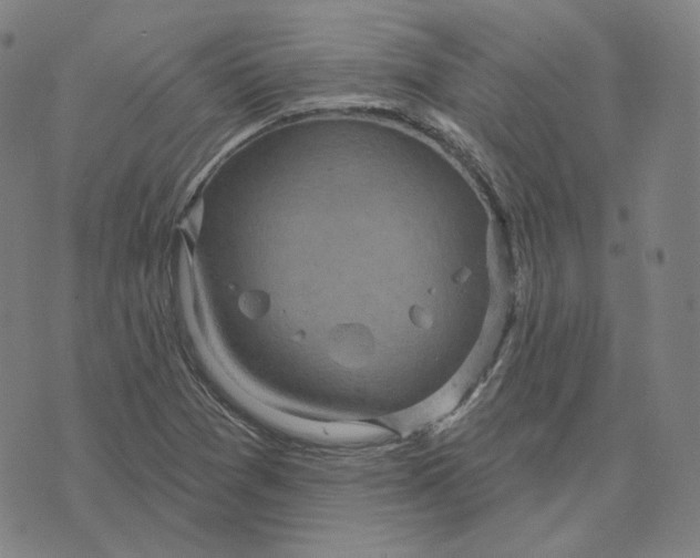 X0000071801361200607211636