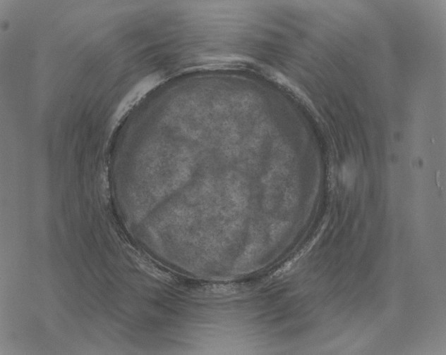 X0000071801362200607211636