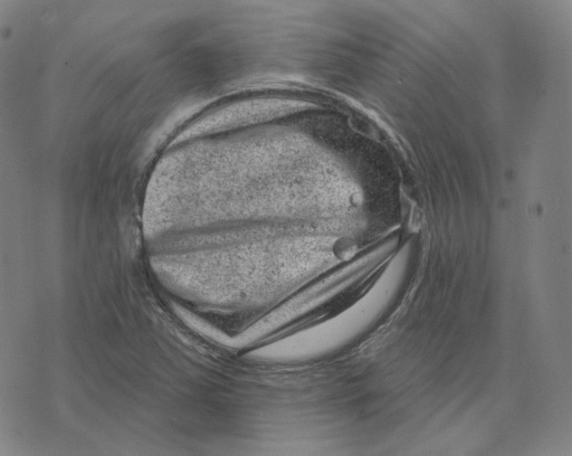 X0000071801363200607211636