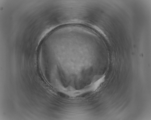 X0000071801364200607211636