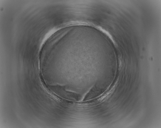 X0000071801365200607211636