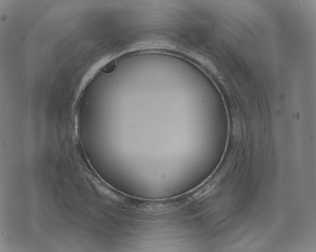 X0000071801366200607211636