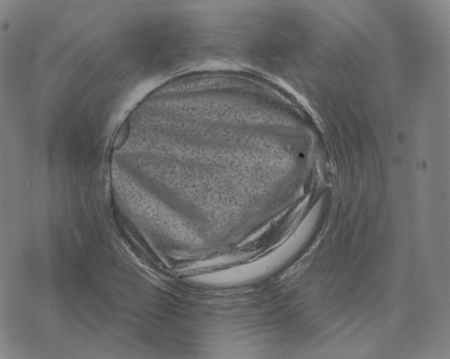 X0000071801367200607211636