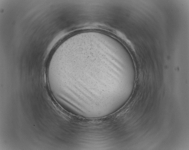 X0000071801368200607211636