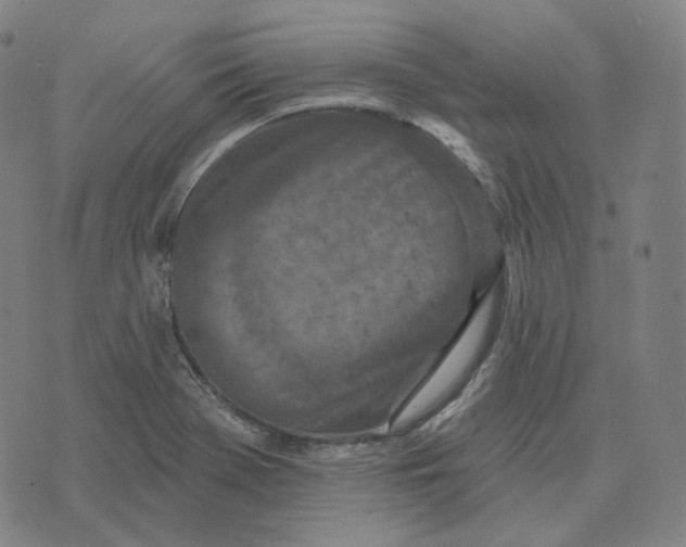 X0000071801369200607211636