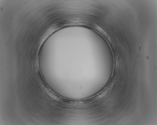 X0000071801370200607211636