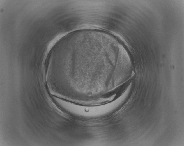 X0000071801371200607211636