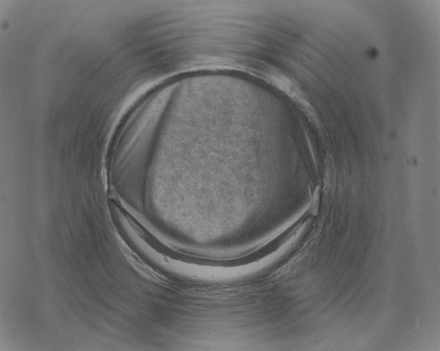 X0000071801372200607211636