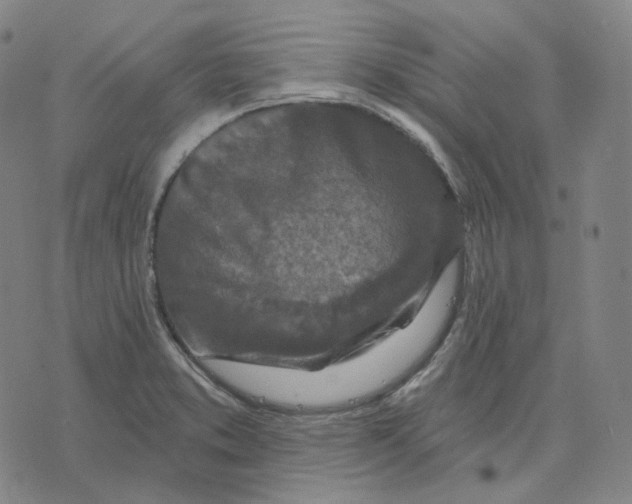 X0000071801373200607211636