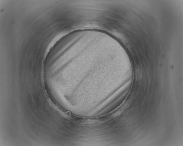 X0000071801374200607211636