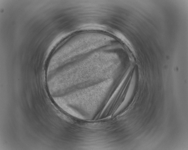 X0000071801376200607211636