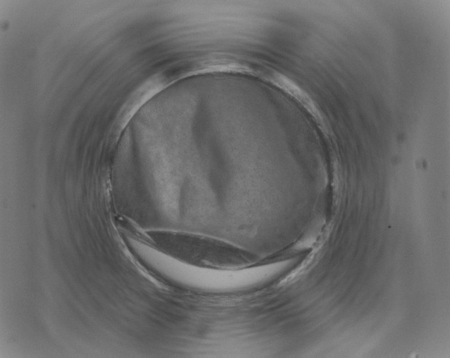 X0000071801377200607211636