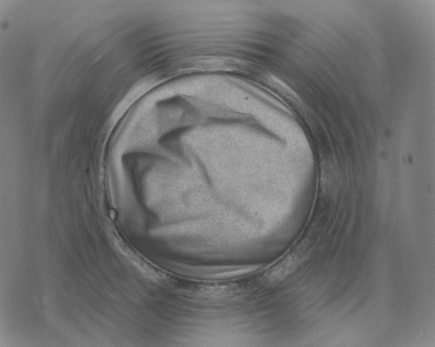 X0000071801378200607211636