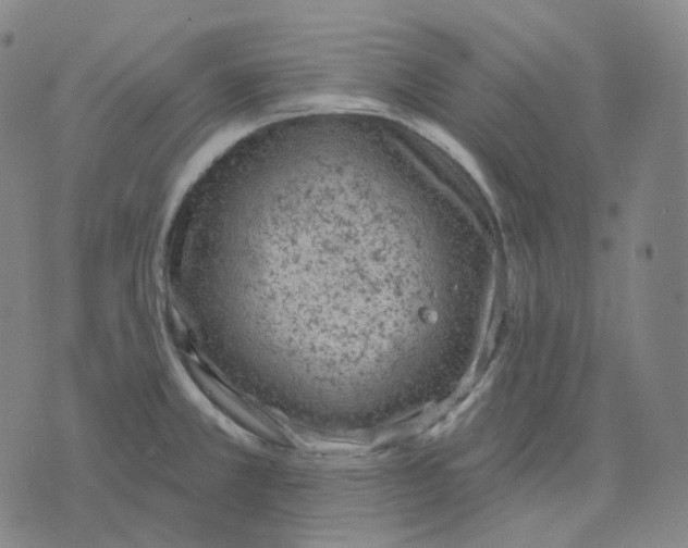 X0000071801381200607211636