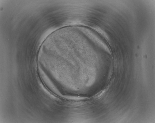 X0000071801382200607211636