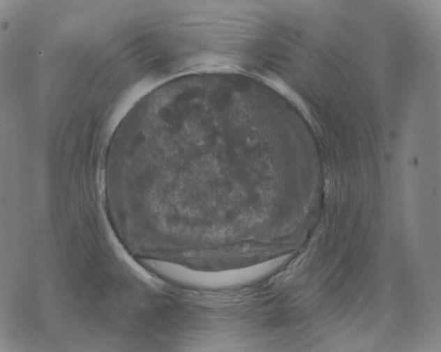 X0000071801383200607211636