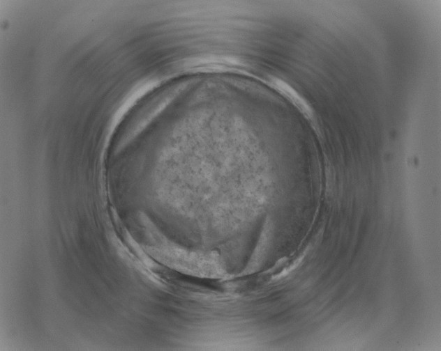 X0000071801384200607211636