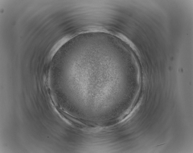 X0000071801385200607211636