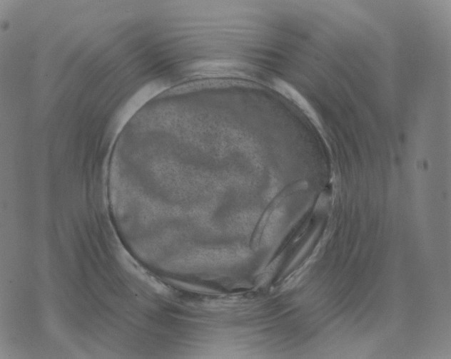 X0000071801386200607211636