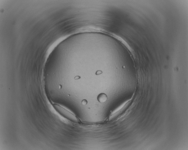 X0000071801387200607211636