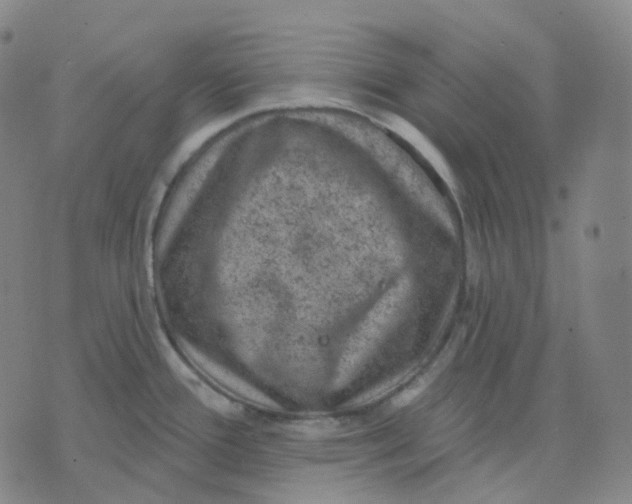 X0000071801388200607211636