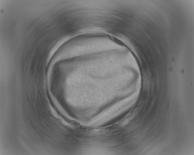 X0000071801390200607211636