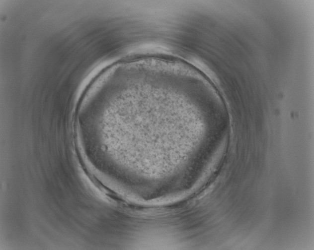 X0000071801392200607211636