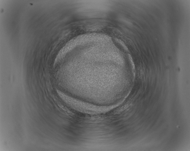 X0000071801393200607211635