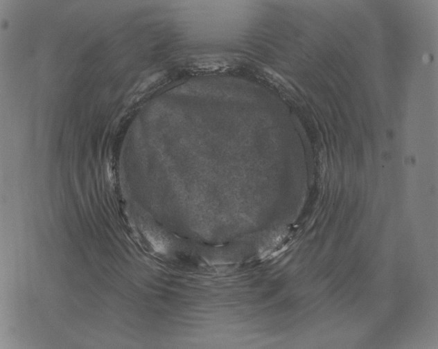 X0000071801394200607211635