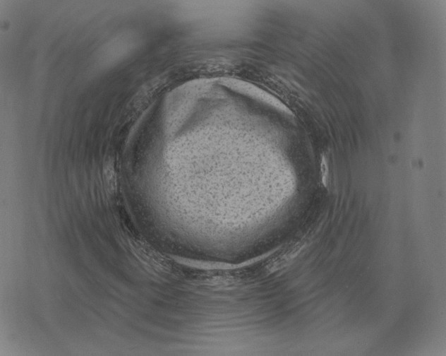 X0000071801395200607211635