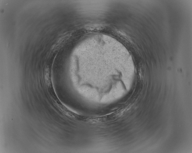 X0000071801396200607211635