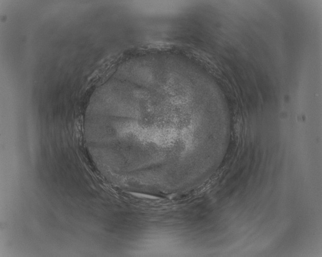 X0000071801397200607211635