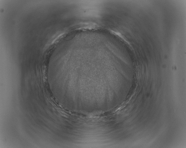 X0000071801399200607211635