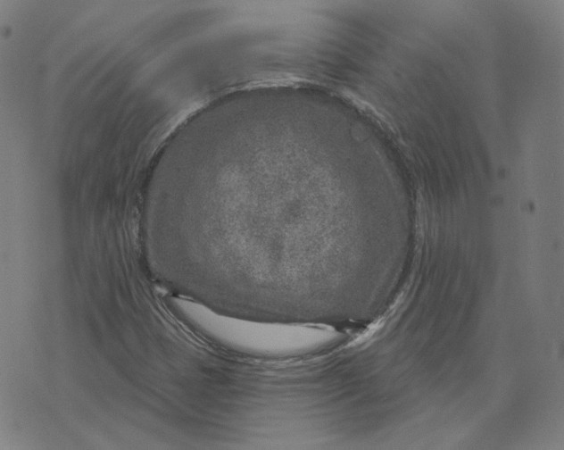 X0000071801401200607211635