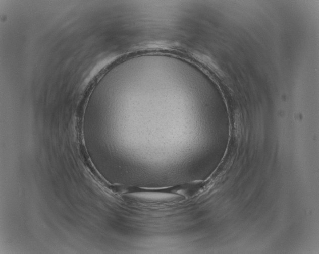 X0000071801404200607211635