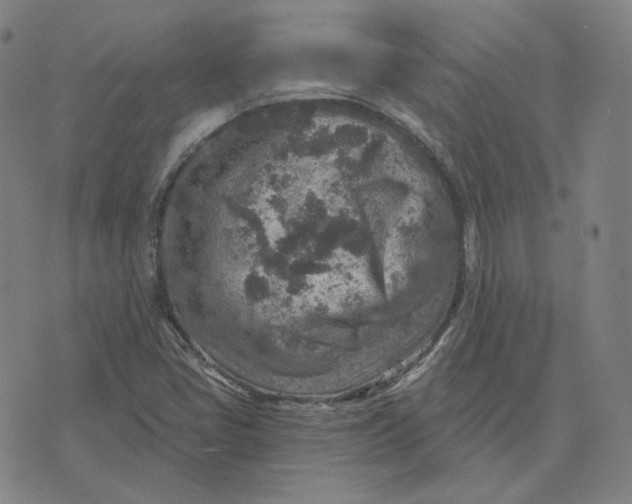 X0000071801405200607211635