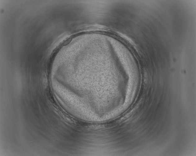 X0000071801407200607211635