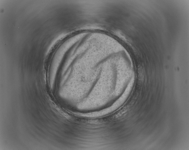 X0000071801408200607211635