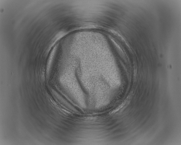 X0000071801409200607211635