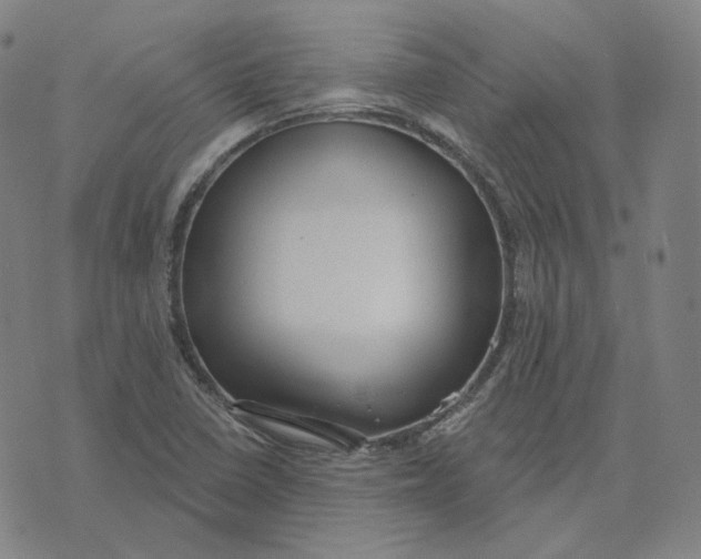 X0000071801410200607211635