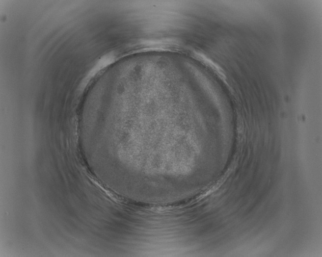 X0000071801411200607211635