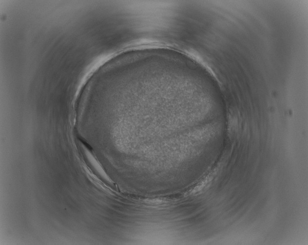 X0000071801413200607211635